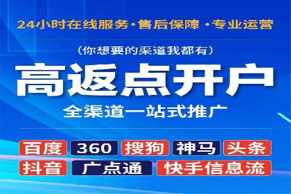 实战技巧：竞价推广案例解析与优化策略